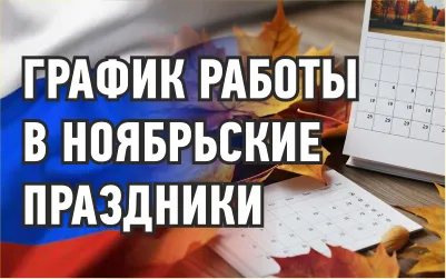 График работы в праздничные дни ноября